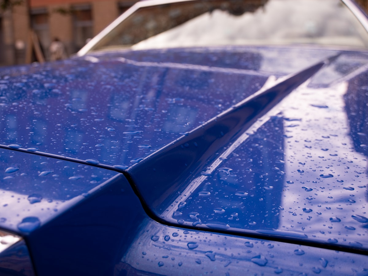 Water beading on a freshly coated bonnet